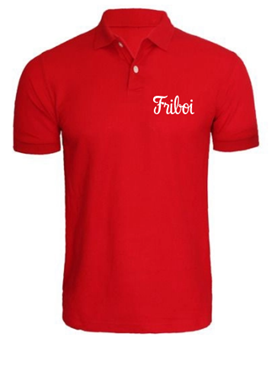 Polo Colorida logomarca bordada