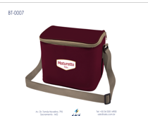 Bolsa Térmica em lona 300x300 BT-007 - Mínimo de 100 peças